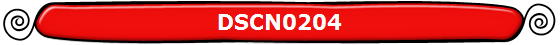 DSCN0204