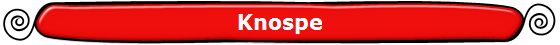 Knospe
